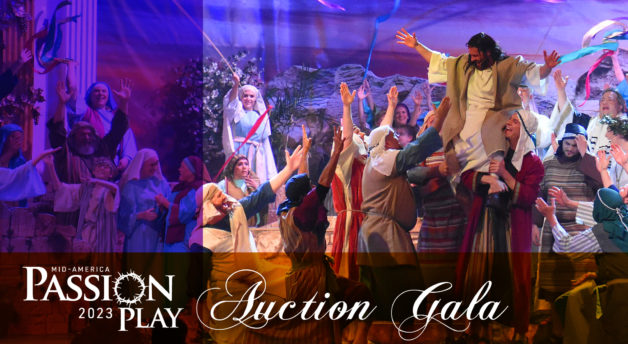 MAPP-2023 Auction Gala